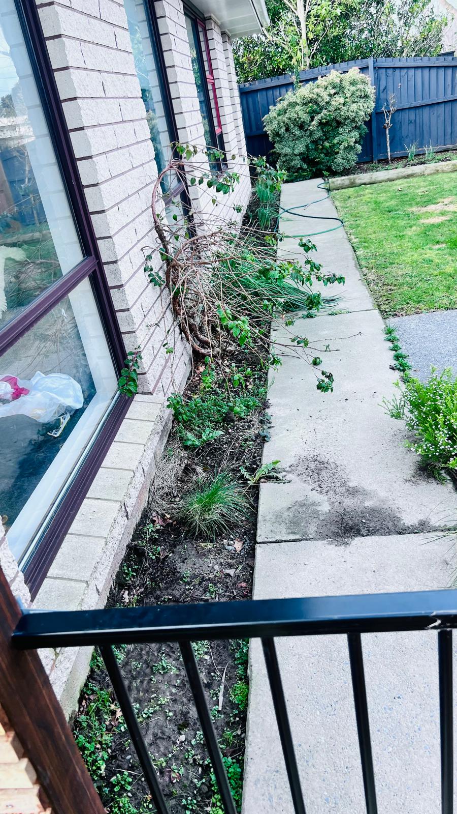 Overgrown garden bed beside a brick house in Avonhead