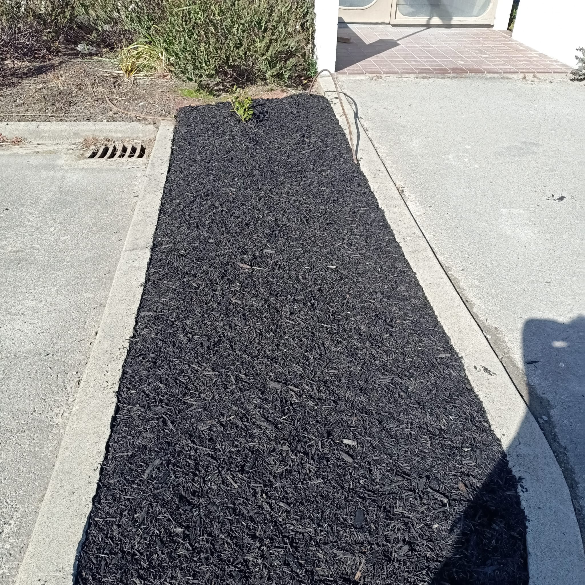 Fresh dark bark mulch in a garden bed between concrete paths
