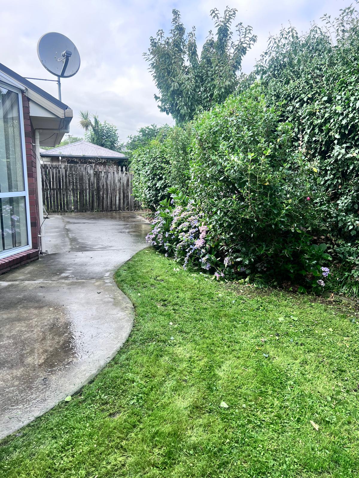 Mown lawn alongside established flowering shrubs