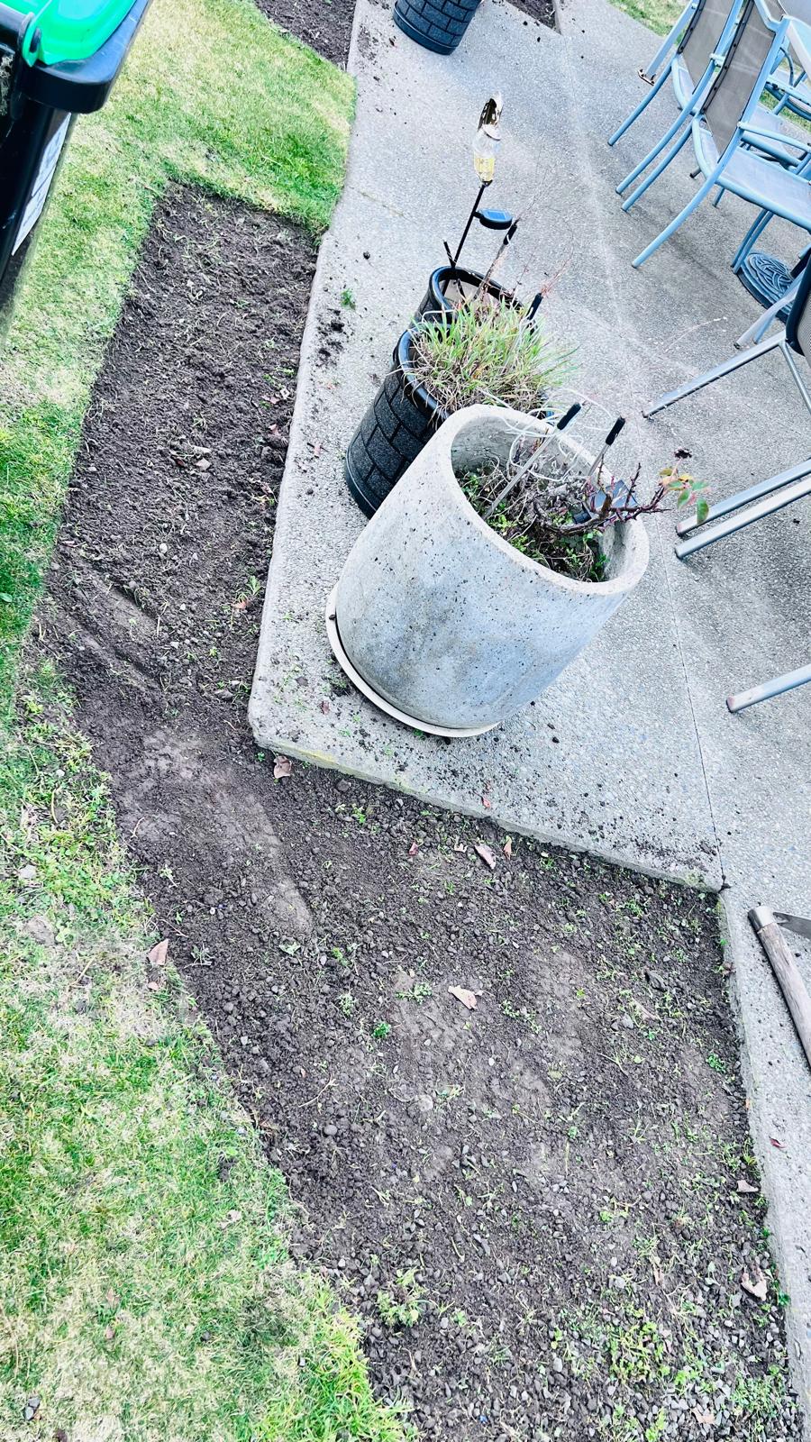 Cleared soil border around the same patio after weeding