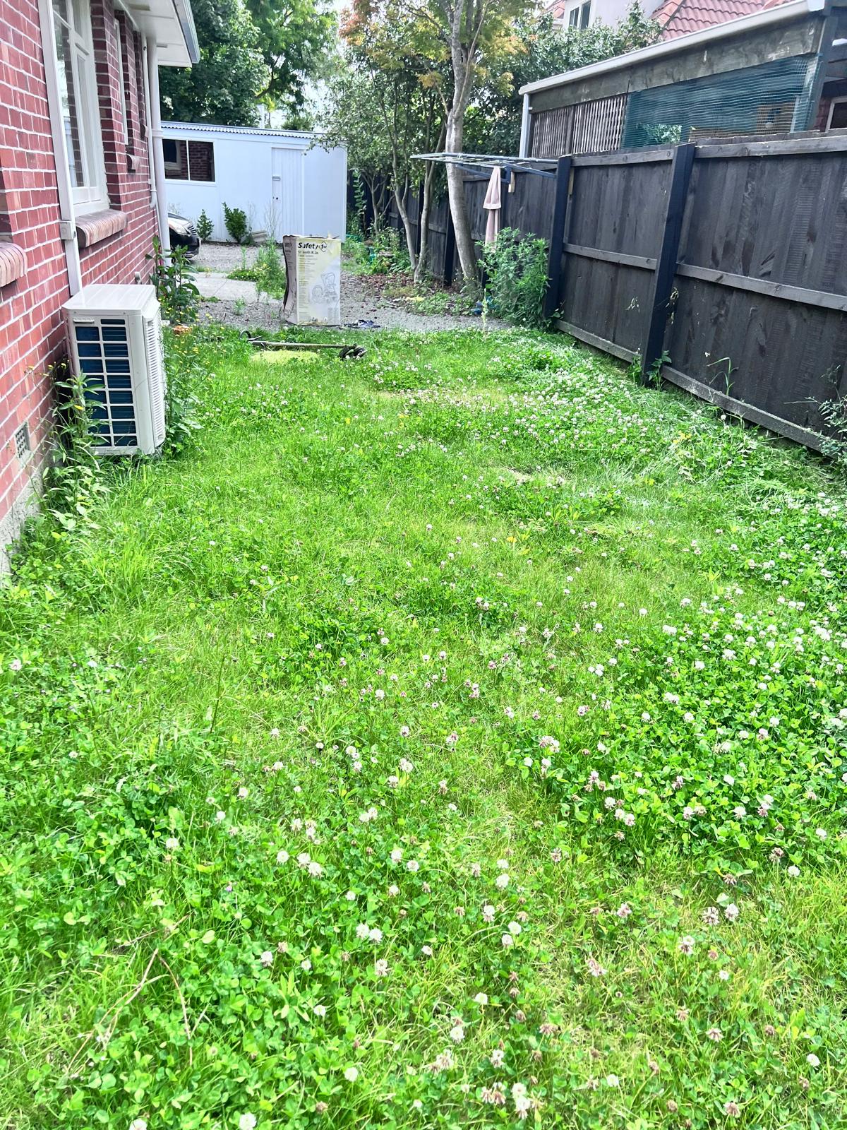 Overgrown side lawn beside a brick house before mowing