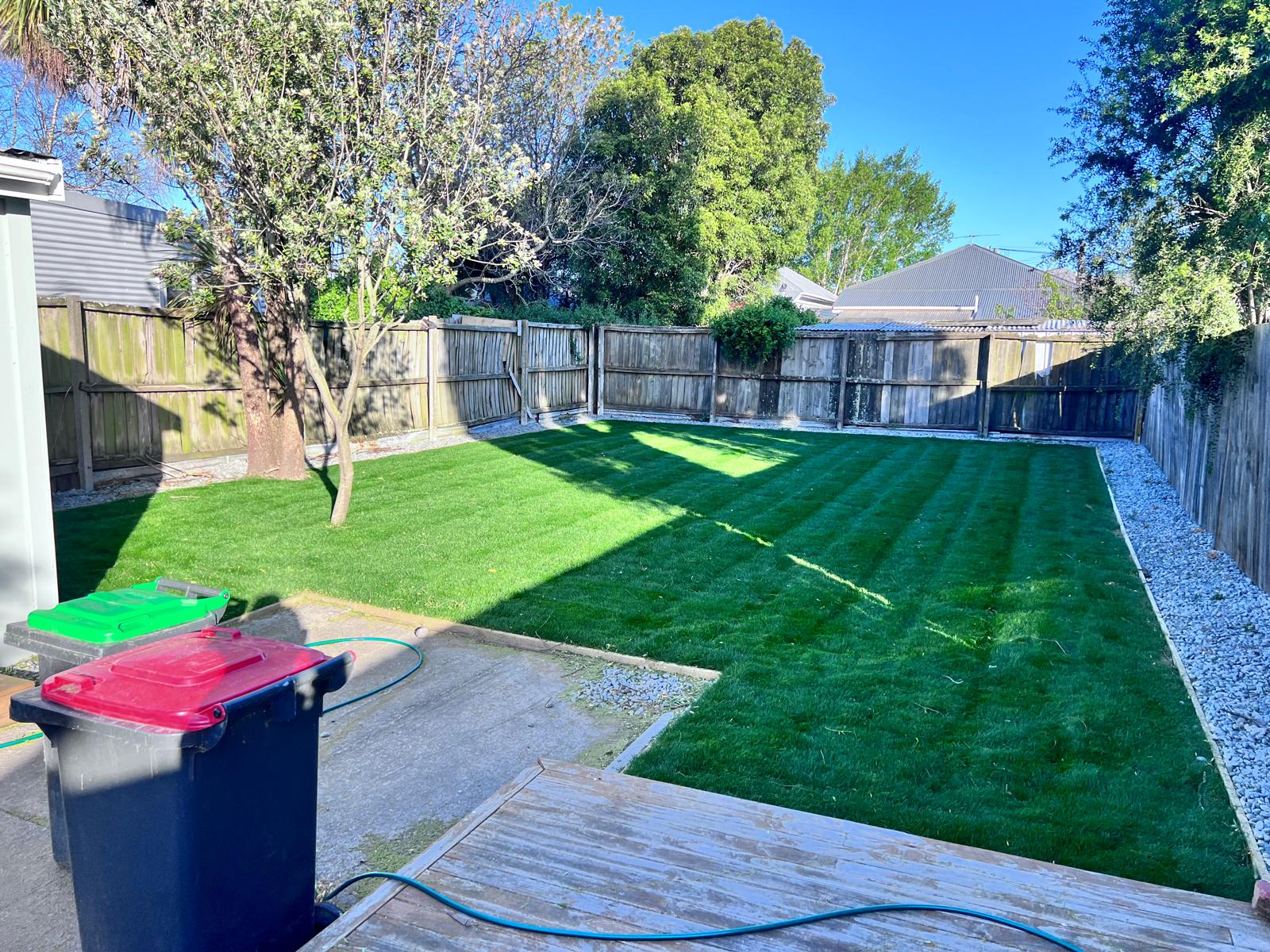 Freshly striped backyard lawn beside a timber fence