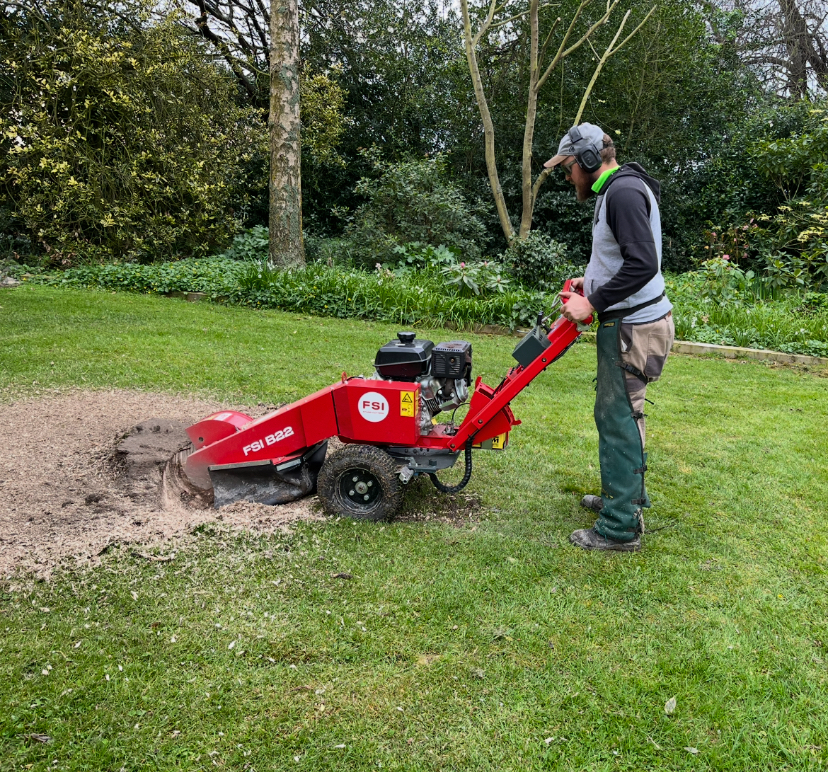 Operator using a red stump grinder on site