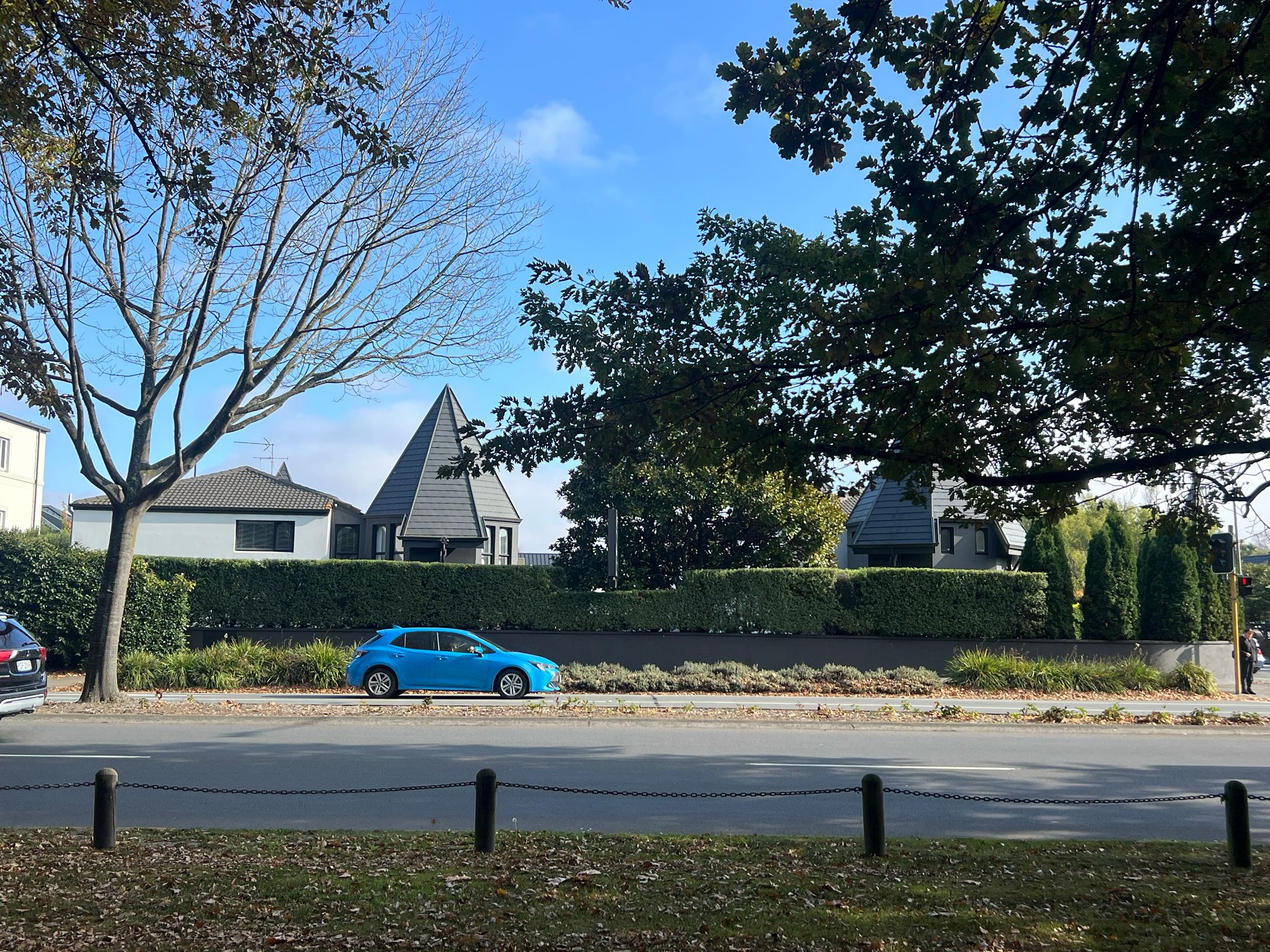 Commercial hedges and grounds maintained on schedule